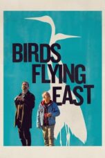 Birds Flying East (2025)